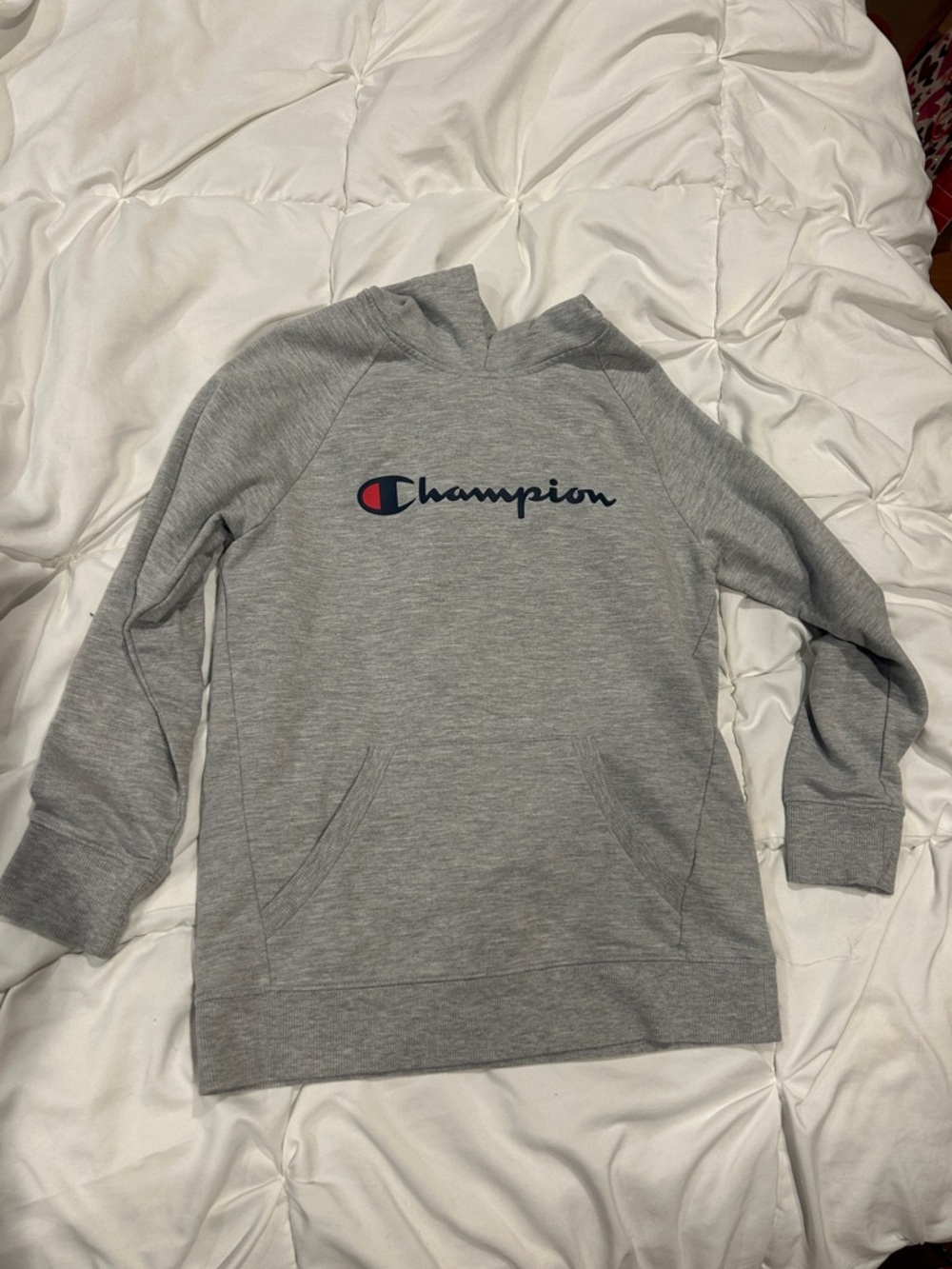 Champion Heather Gray Hoodie with Navy Script and Red Accent